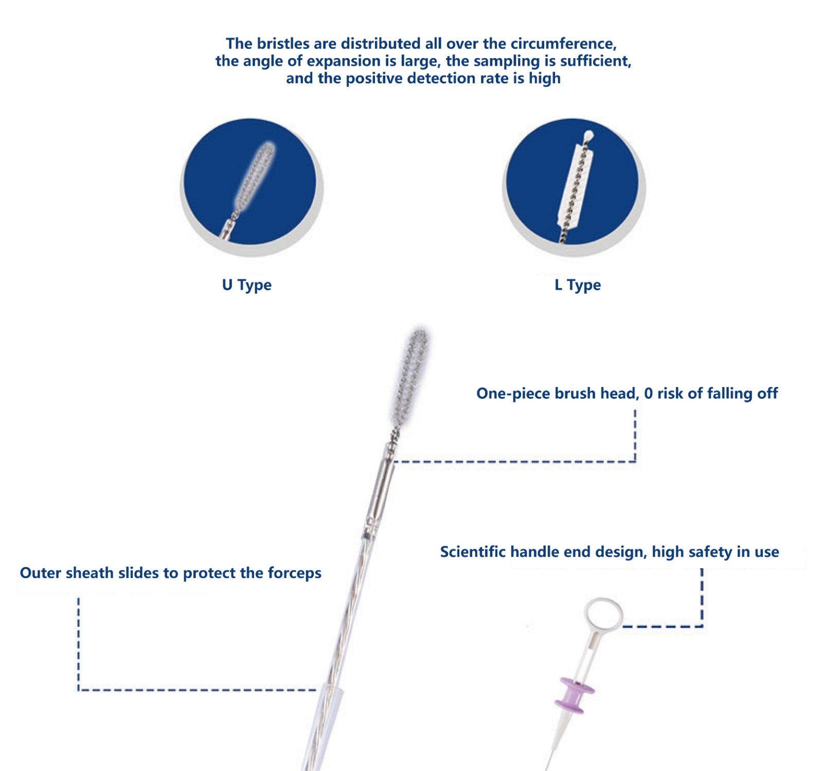 1642387472183951mX9E.jpg 20-01-12_畫板 1.jpg